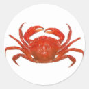 Suche nach lobster aufkleber Ozean