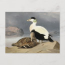 Suche nach ferdinand postkarten Vintag