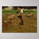 Suche nach kartoffeln poster Landwirtschaft