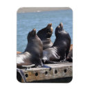 Suche nach seelöwe magnete Siegel