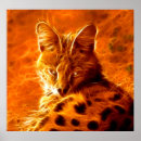 Suche nach serval poster Wild