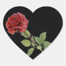 Suche nach herz roter rosen aufkleber Jahrestag