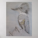 Suche nach kingfish poster Bird