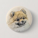 Suche nach pochen buttons Zwergspitz