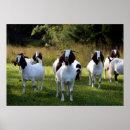 Suche nach gruppen poster Druck