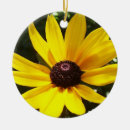 Suche nach daisy ornamente Pflanze