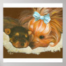 Suche nach yorkie poster Druck