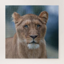 Suche nach regal puzzle Majestätisch