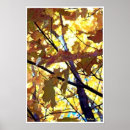 Suche nach baum fotodruck Blätter