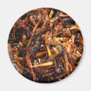 Suche nach grasshopper magnete Bug