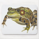 Suche nach grüne frösche mousepads In voller länge