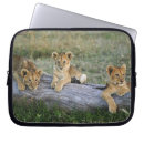 Suche nach lion laptop schutzhüllen Panthera leo