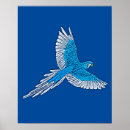 Suche nach blaue papageien poster Vögel