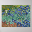 Suche nach meisterwerke poster Vincent van gogh
