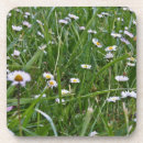 Suche nach wiesen untersetzer Frühling