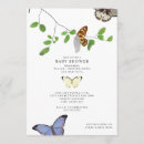 Suche nach chrysalises Schmetterling