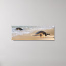 Suche nach maui leinwandbilder Tropisch