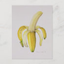 Suche nach banane postkarten Gelb