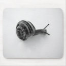 Suche nach schnecke mousepads Natur