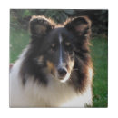 Suche nach schäferhund fliesen Haustier