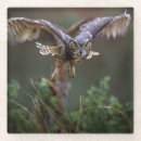Suche nach flug untersetzer Fliegend