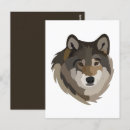 Suche nach wilder wolf postkarten Grau
