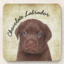 Suche nach schokolade labrador untersetzer Schokoladenlabrador
