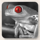 Suche nach baumfrosch untersetzer Kröte