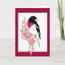 Suche nach gezüchtet karten Grosbeak