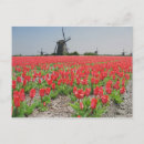 Suche nach popart postkarten Blume