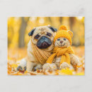Suche nach pug postkarten Dog