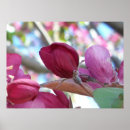 Suche nach multiregion poster Rosa