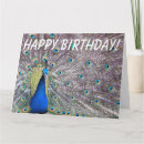 Suche nach pfau geburtstag karten Tiere
