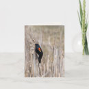 Suche nach unkraut karten Feld