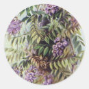 Suche nach vintage botanik aufkleber Blumenreich