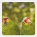 Suche nach zusammengehörigkeit aufkleber Tier