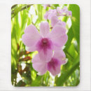 Suche nach orchideen mousepads Grün