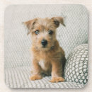 Suche nach niedliche welpen untersetzer Niedliches baby