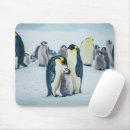 Suche nach niedliches baby mousepads Wildtiere