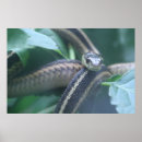 Suche nach strumpfband Natur