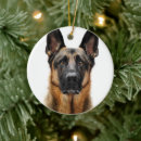 Suche nach ohren ornamente Hund