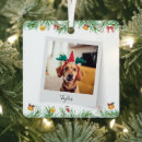 Suche nach niedlicher hund ornamente Foto