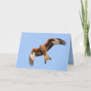 Suche nach roter drachen karten Natur