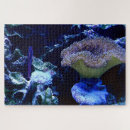 Suche nach aquarium puzzle Korallen
