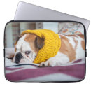 Suche nach bulldogge laptop schutzhüllen Getty bilder