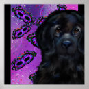 Suche nach hundefutter poster Hundefutter für neufundländer