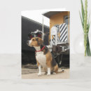 Suche nach willkommenes zuhause karten Hund