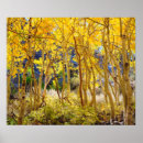 Suche nach baum poster Herbst