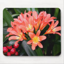 Suche nach orange blüte mousepads Natur