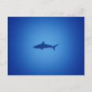 Suche nach unterwasser postkarten Meer